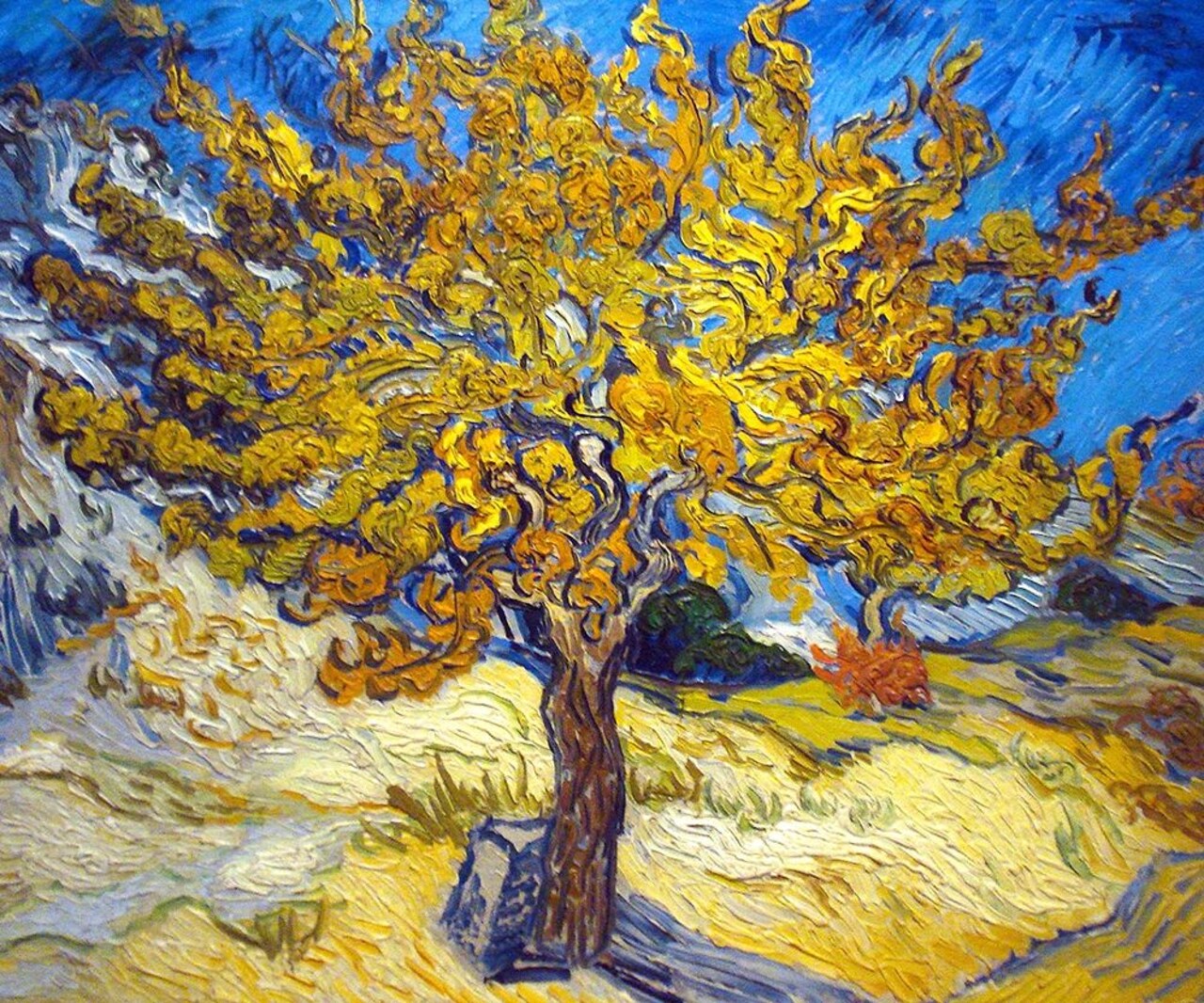 The Mulberry Tree Poster Print by Vincent Van Gogh - Item # VARPDXV729D